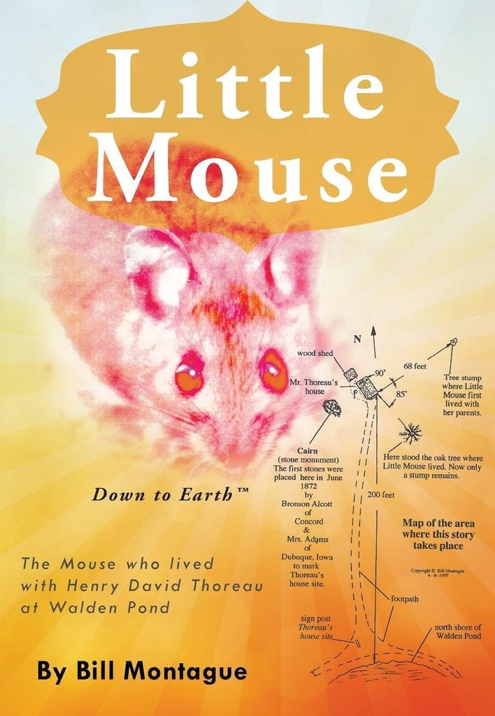 Little Mouse