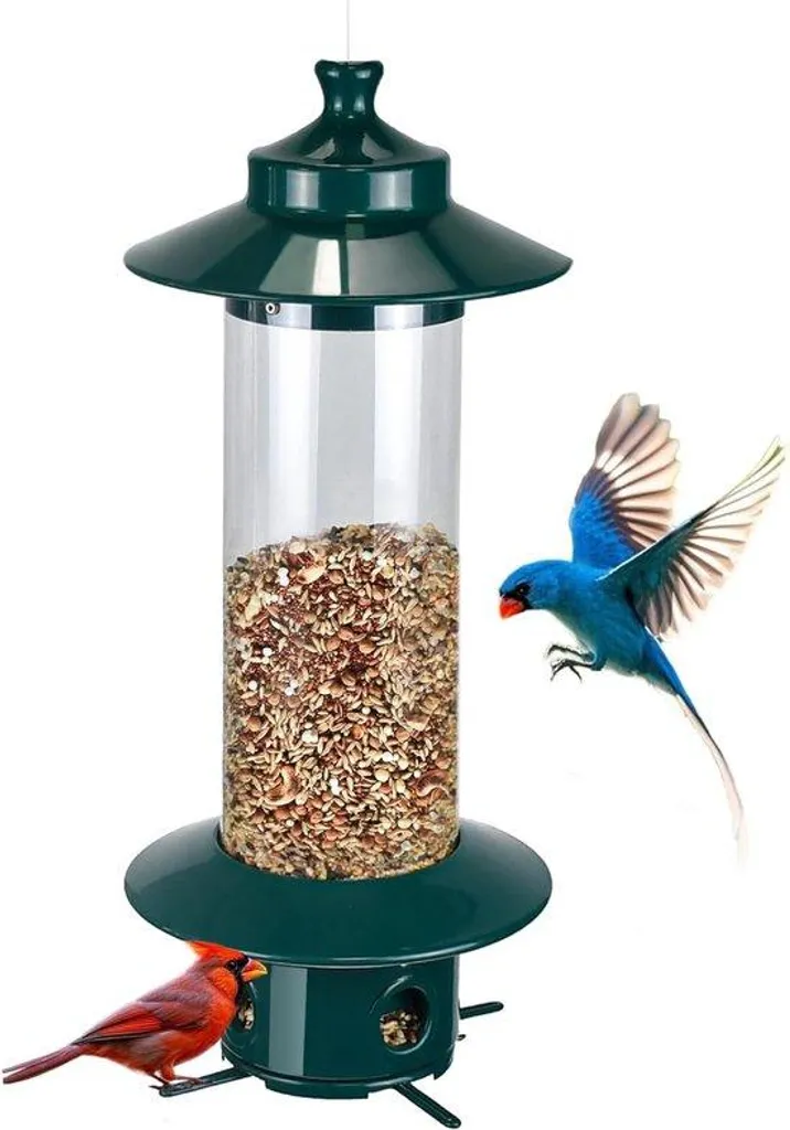 Mangeoire oiseaux suspendue anti-lézard et résistante aux chocs 2,2kg