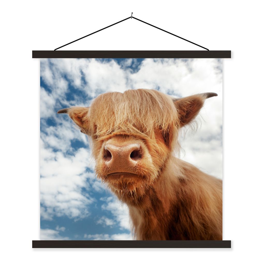 MuchoWow Textilposter Schottischer Highlander - Wolken - Kalb 40x40 cm mit schwarzem Rahmen - Fotos