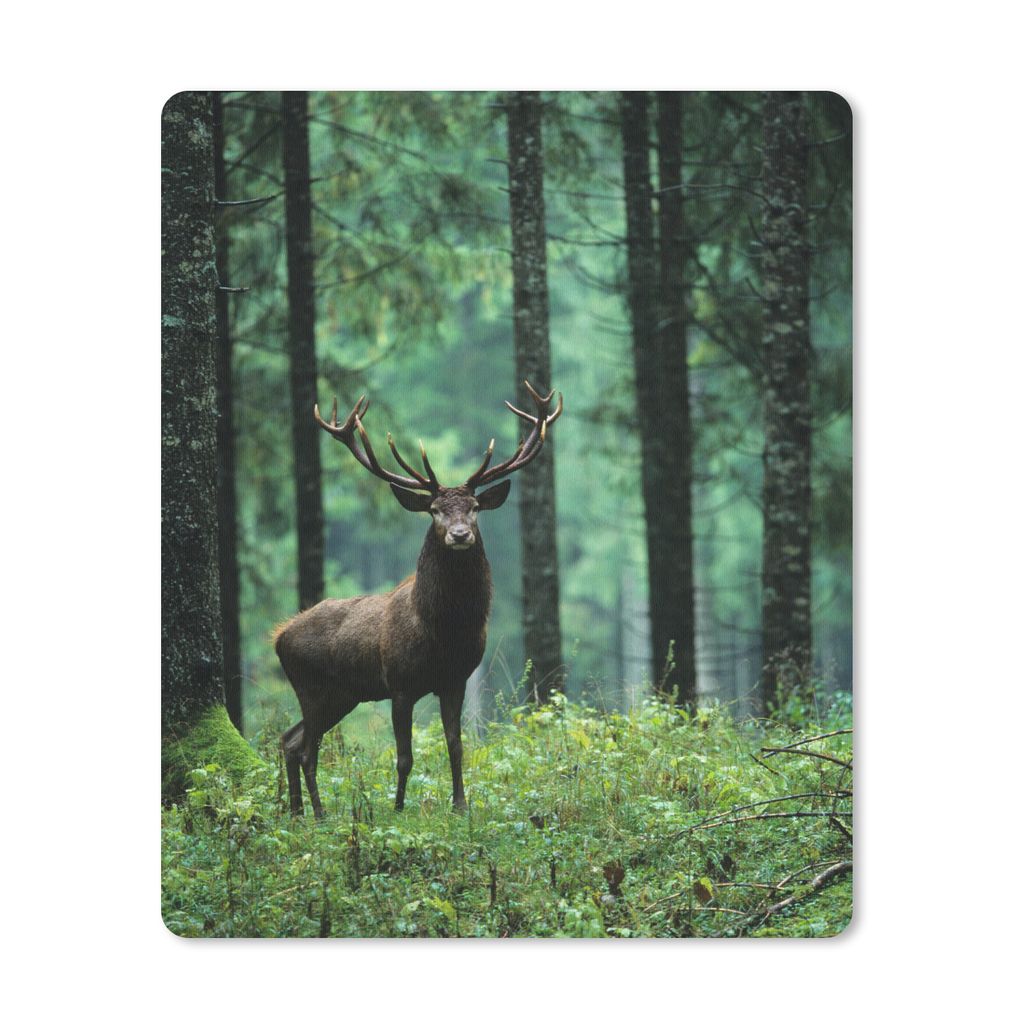 MuchoWow Mauspad Mousepad Hirsche - Wald - Bäume - Tiere - Natur 19x23 cm - Mousepads - Maus Mat - Pad - Mausunterlage - Mauspads - Spielen