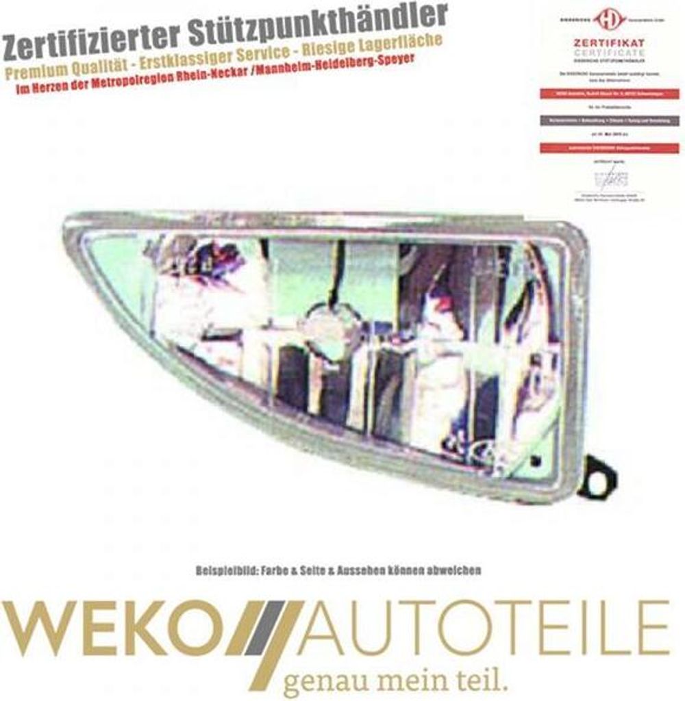 Diederichs Nebelscheinwerfer li. Focus, 98-01