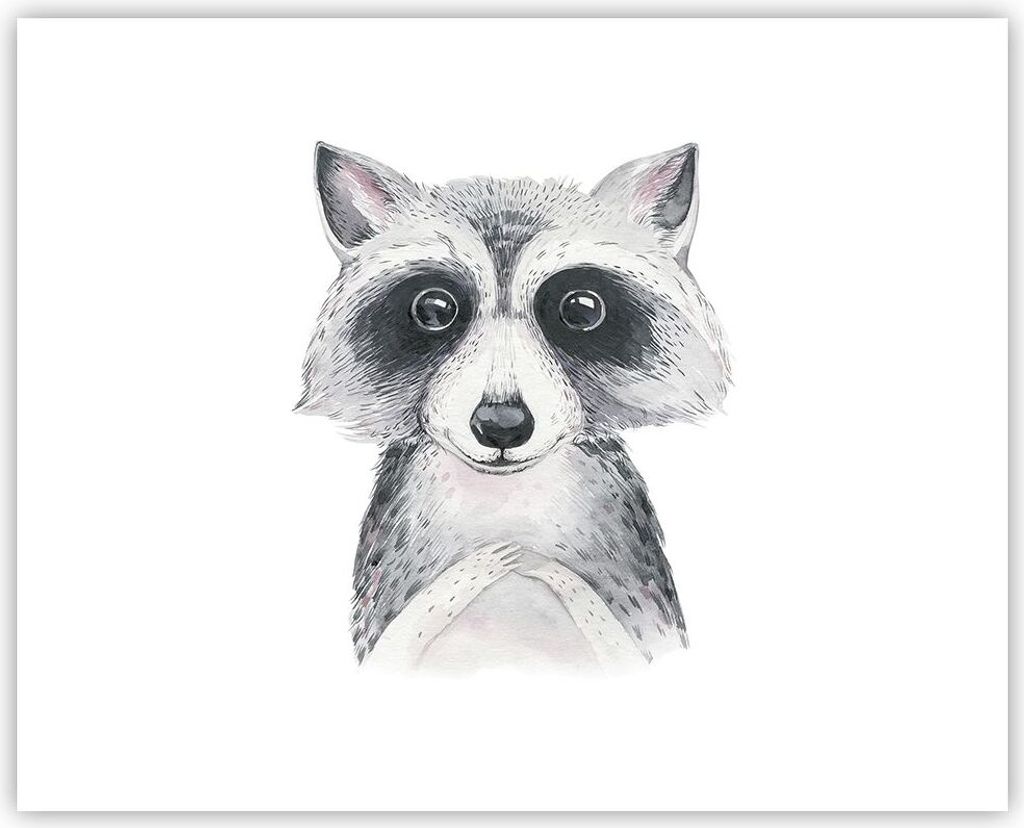 Poster - Poster ohne Rahmen - Waschbär Bild Kinder - 50x40 Produktbild 