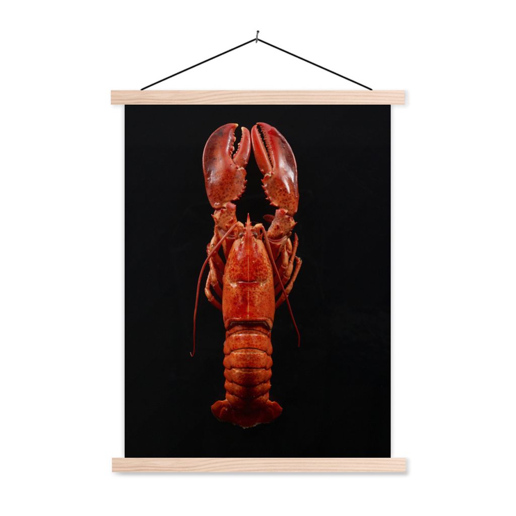 MuchoWow Textilposter Krebs - Rot - Porträt 120x160 cm mit holzfarbenen Rahmen - Plakatkarton