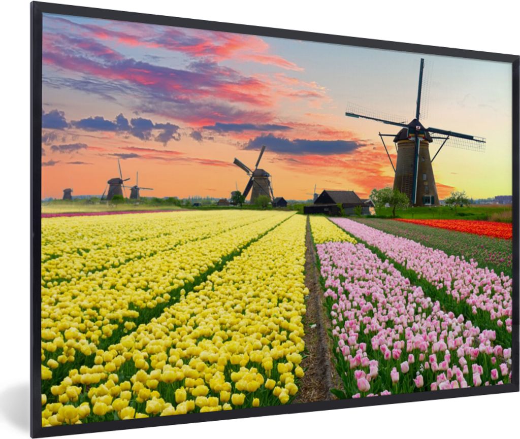 MuchoWow Gerahmtes Poster Windmühle - Tulpen - Blumen - Niederlande 90x60 cm - Poster mit Schwarzem Bilderrahmen Wandposter Rahmen Foto Bilder -...