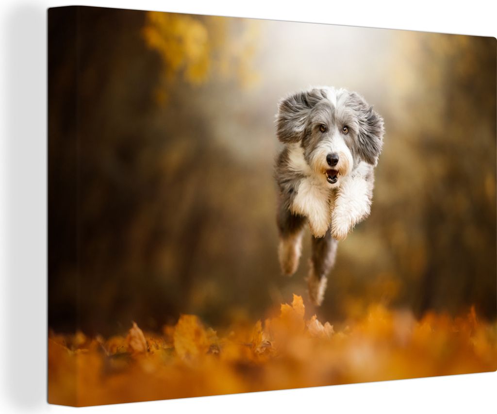 OneMillionCanvasses - Leinwandbilder - 150x100 cm, Hund - Laub - Herbst, Wandbilder Kunstdruck Wanddekoration