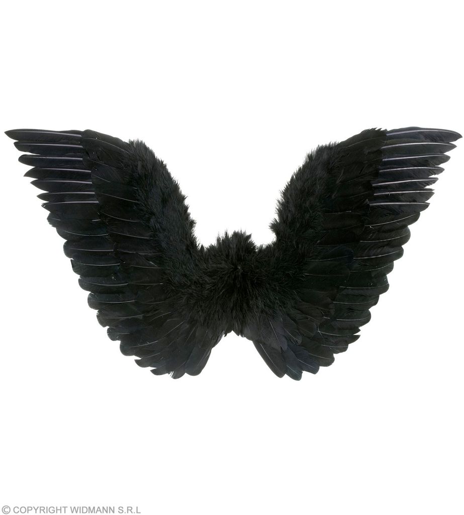 Schwarzer gefiederte Flügel 78 x 36 cm 