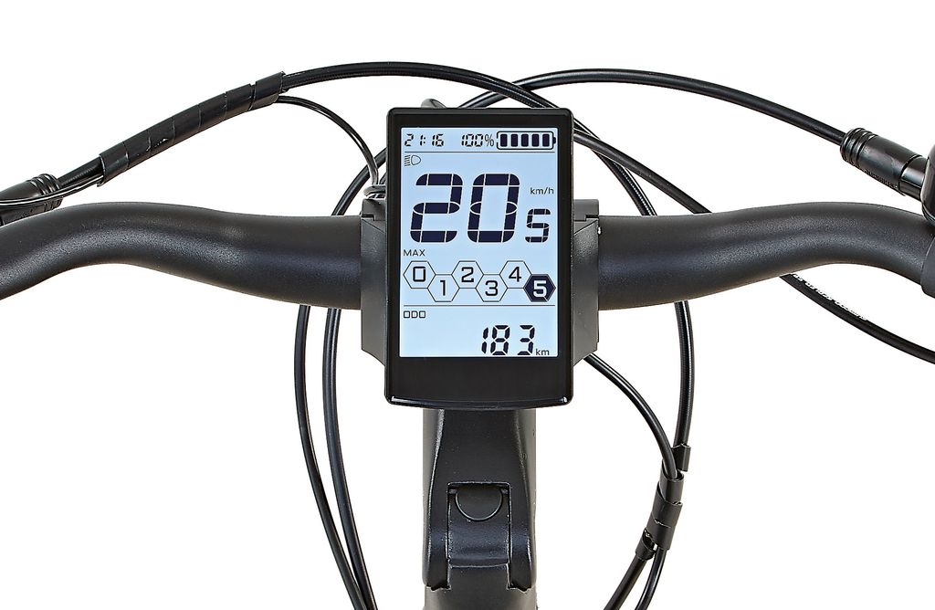 Prophete Geniesser 4.0 City E-Bike 28 Zoll - 540Wh -