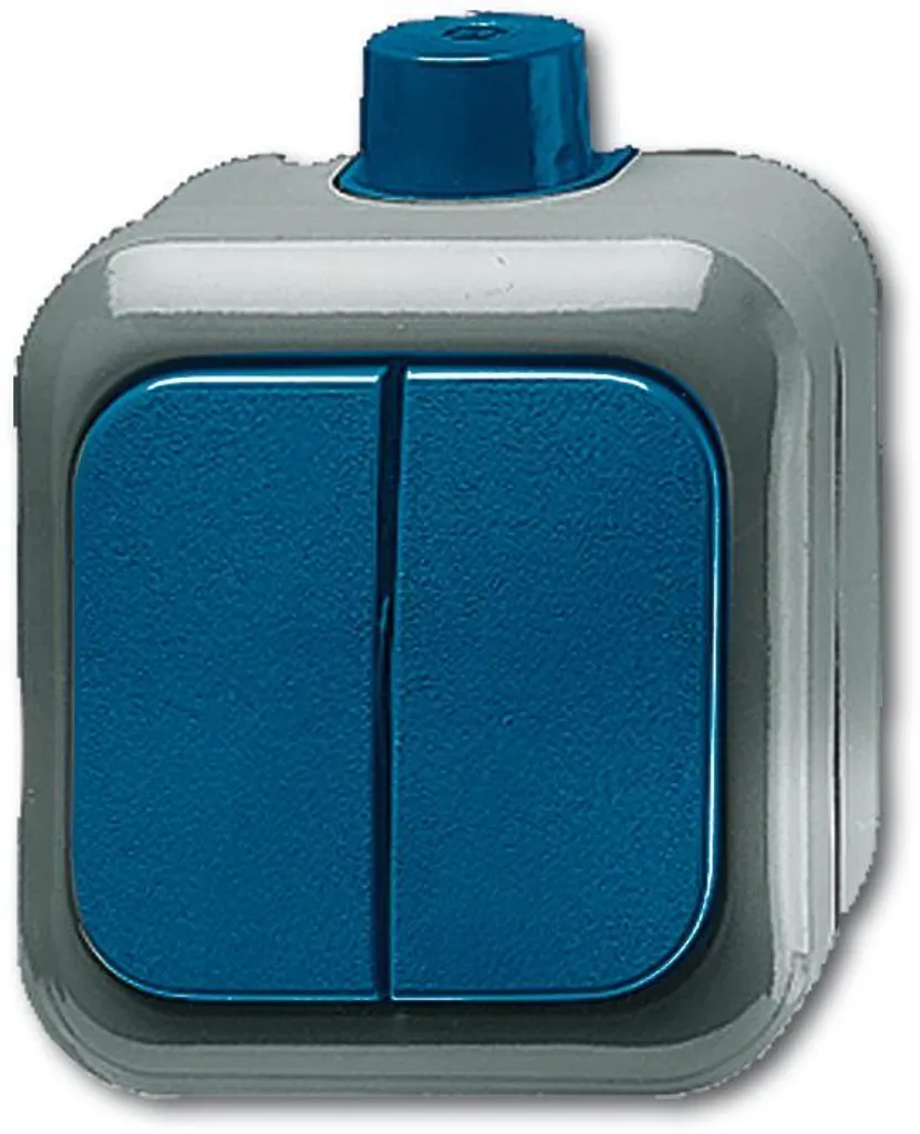 Interrupteur de série Busch-Jaeger 2601/5 WDI 2CKA001084A0839 Gris