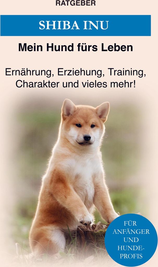 Shiba Inu