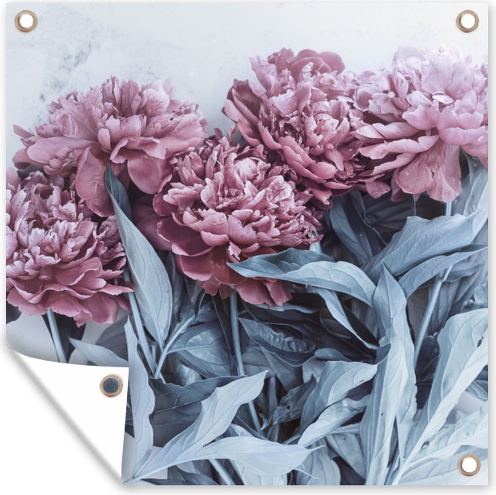 MuchoWow 100x100 cm Outdoor-Poster Gartendeko Sichtschutz Garten Poster für den Garten Burgundische Pfingstrosen