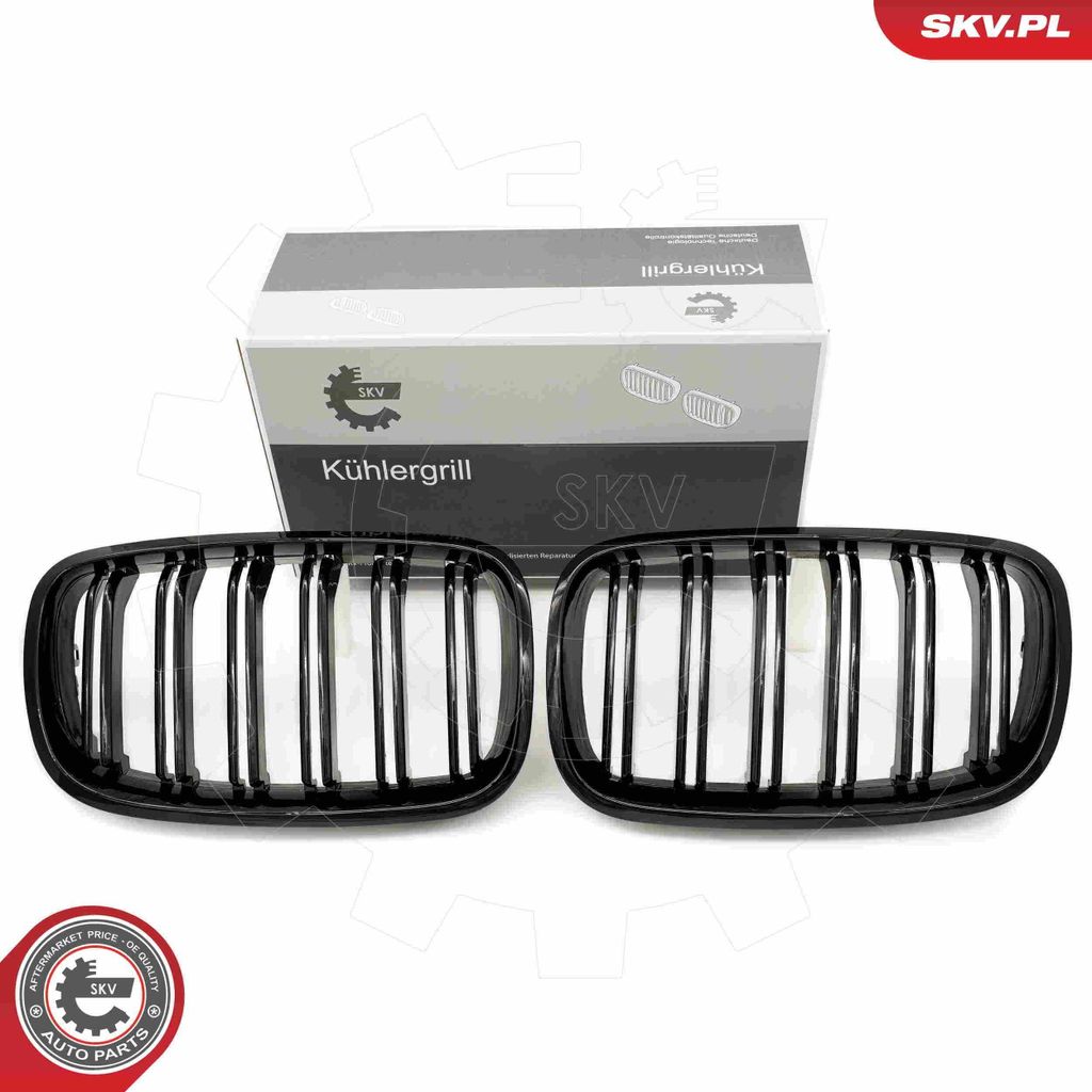 ESEN SKV 66SKV287 Kühlergrill Frontgrill für BMW X5 (E70) Schwarz Glänzend
