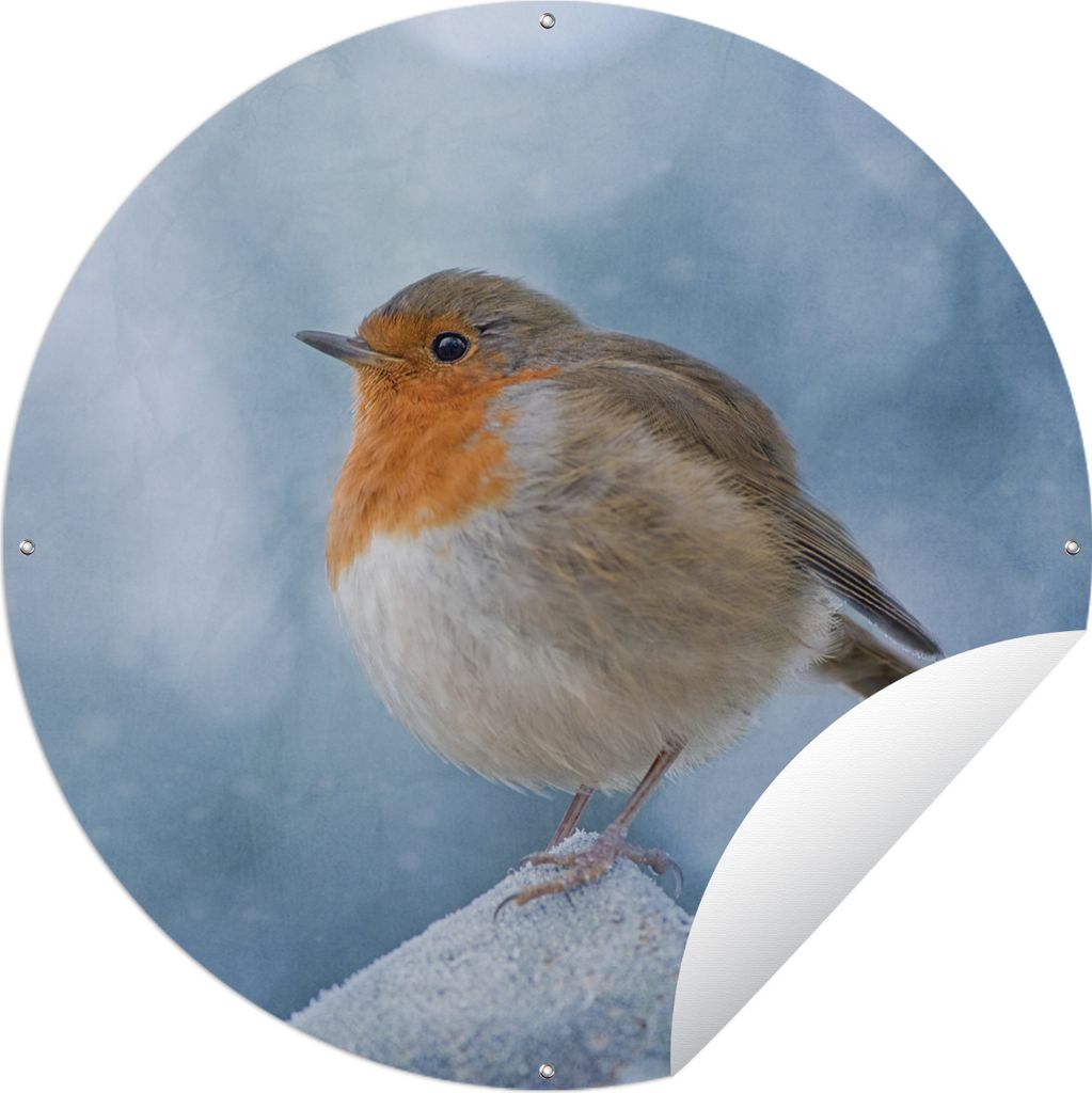 MuchoWow Gartenposter Outdoor-Poster Rund Rotkehlchen - Winter - Blau Ø 120 cm Gartendeko Rundes Poster draußen