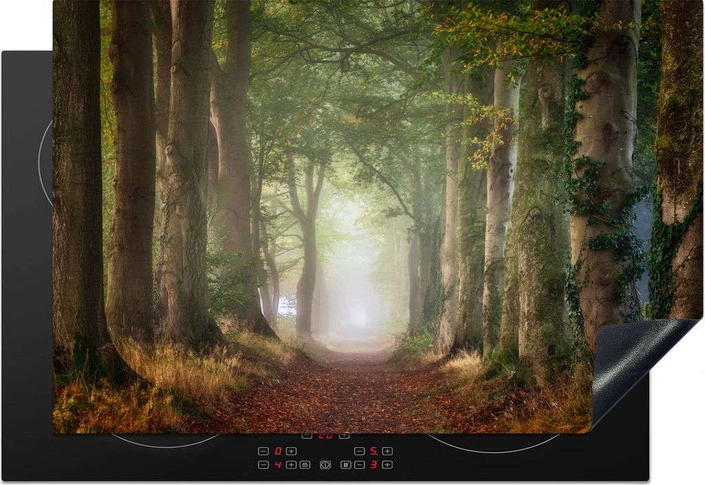 KitchenYeah Herdabdeckplatte Wald - Weg - Bäume und Pflanzen - Nebel - Herbst - Laub , 76x51cm, Küche Deko, Glaskeramikfeld Herdabdeckung, Abde...