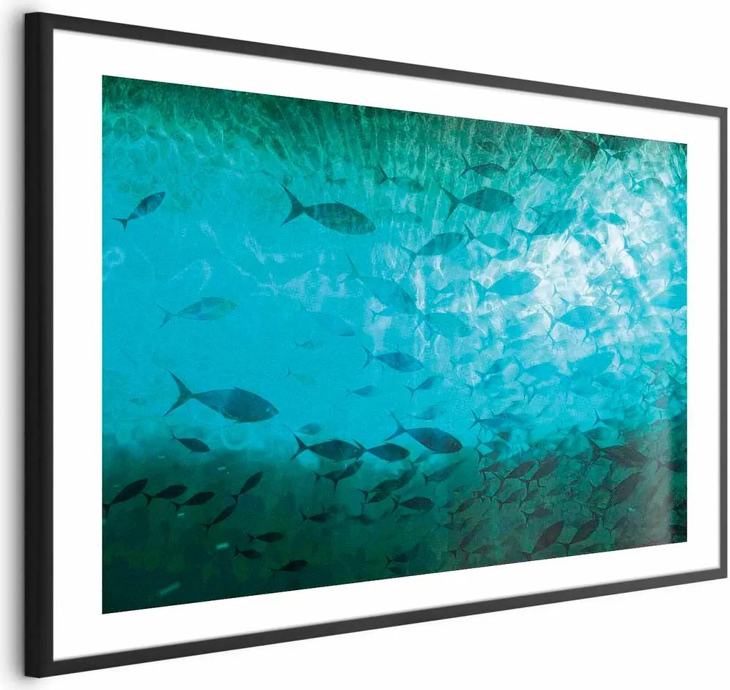 Poster Fish Cluster 60x40 cm con Cornice Nera Elegante - Arte Marina