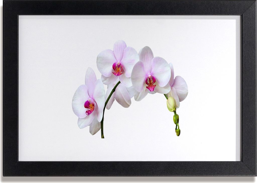 Bild 30x20 MDF-Rahmen Wandkunst Orchidee Orchidee Blumen