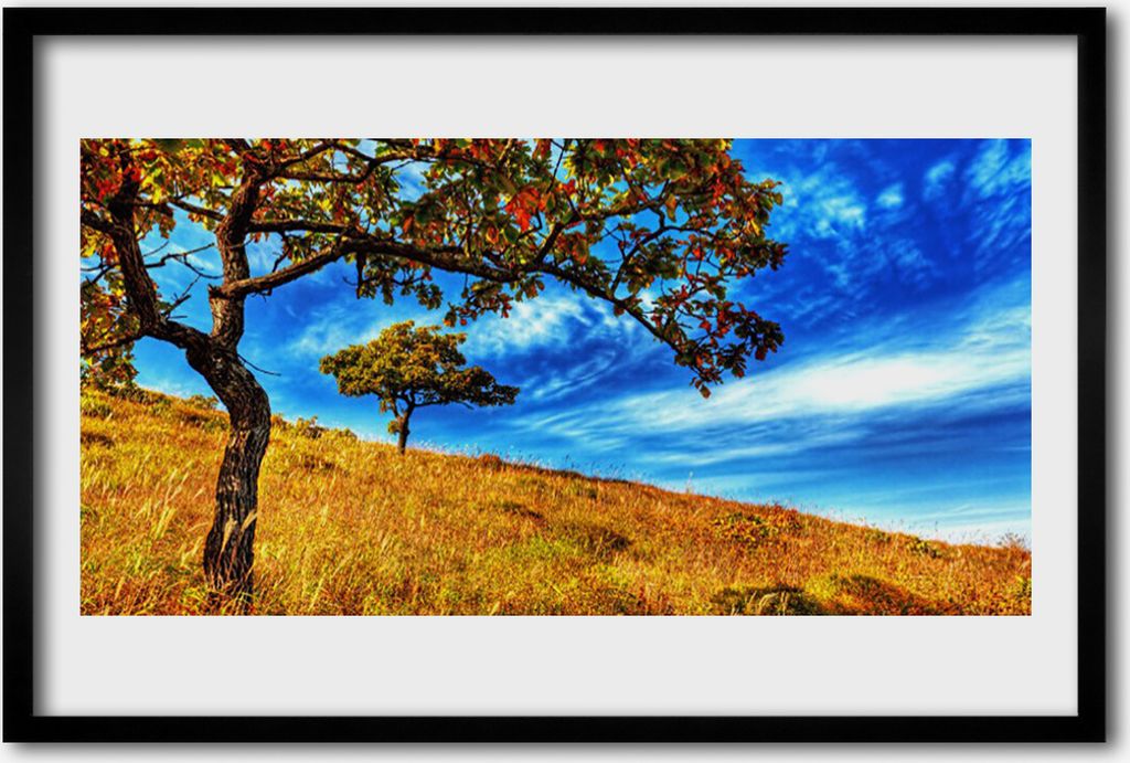 Bild 60x40 MDF-Rahmen Wandkunst Baum Wiese Natur Pflanze