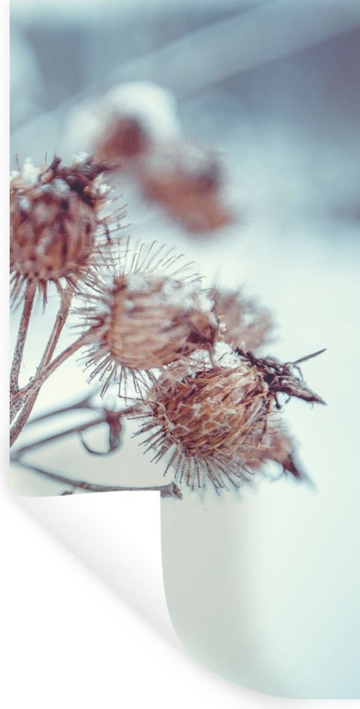 MuchoWow Wandtattoo Wandsticker Wandaufkleber Pflanzen - Winter - Schnee - Natur 20x40 cm Selbstklebend und Repositionierbar - Selbstklebend - Fo...