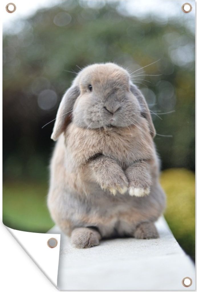 MuchoWow 40x60 cm Outdoor-Poster Gartendeko Sichtschutz Garten Poster für den Garten Langohriger Zwerg auf einer Mauer sitzend