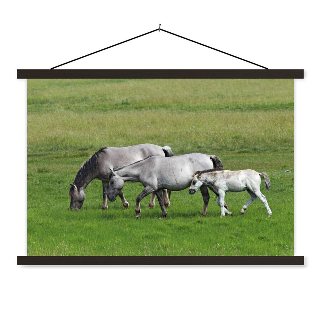 MuchoWow Textilposter Pferde - Tiere - Gras 60x40 cm mit schwarzem Rahmen - Hölzernes