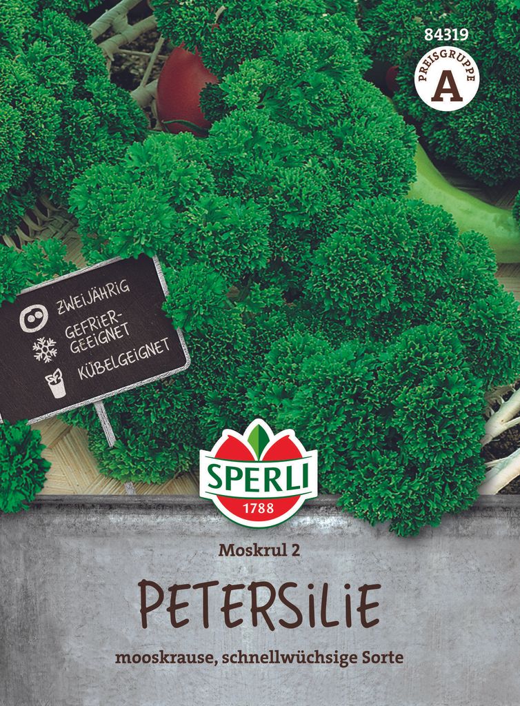 Petersilie ''Mooskul 2'' dicht gefüllt, schnellwüchsig, Produktbild 