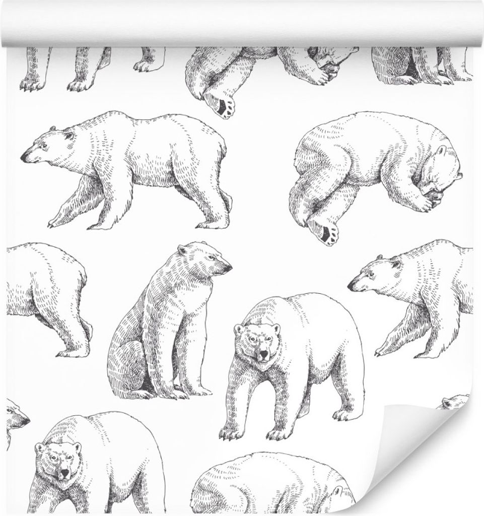 10m VLIES TAPETE Rolle Kinderzimmer Tiere Bären Gemalt Produktbild 