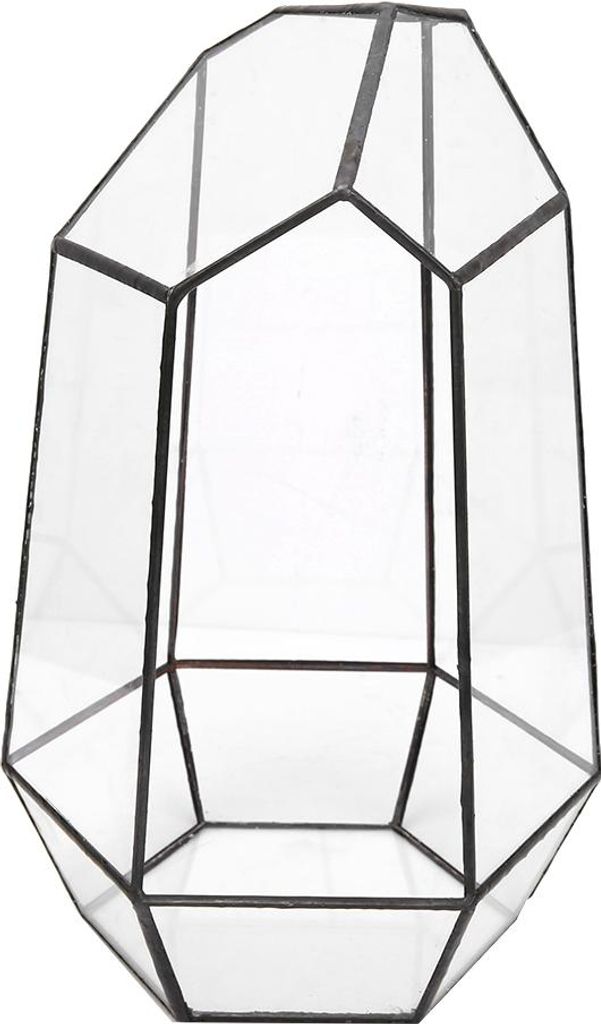 Moderne Glas-Tischplatte Sukkulenten Pflanze Terrarium Box Anlage Display Halter