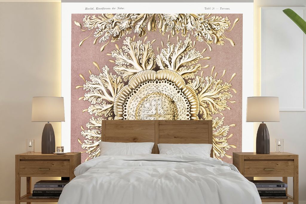 MuchoWow Fototapete für Wohnzimmer oder Schlafzimmer Wandtapete Vinyl Motivtapete Jahrgang - Ernst Haeckel - Qualle - Kunst - 260x260 cm - Papie...