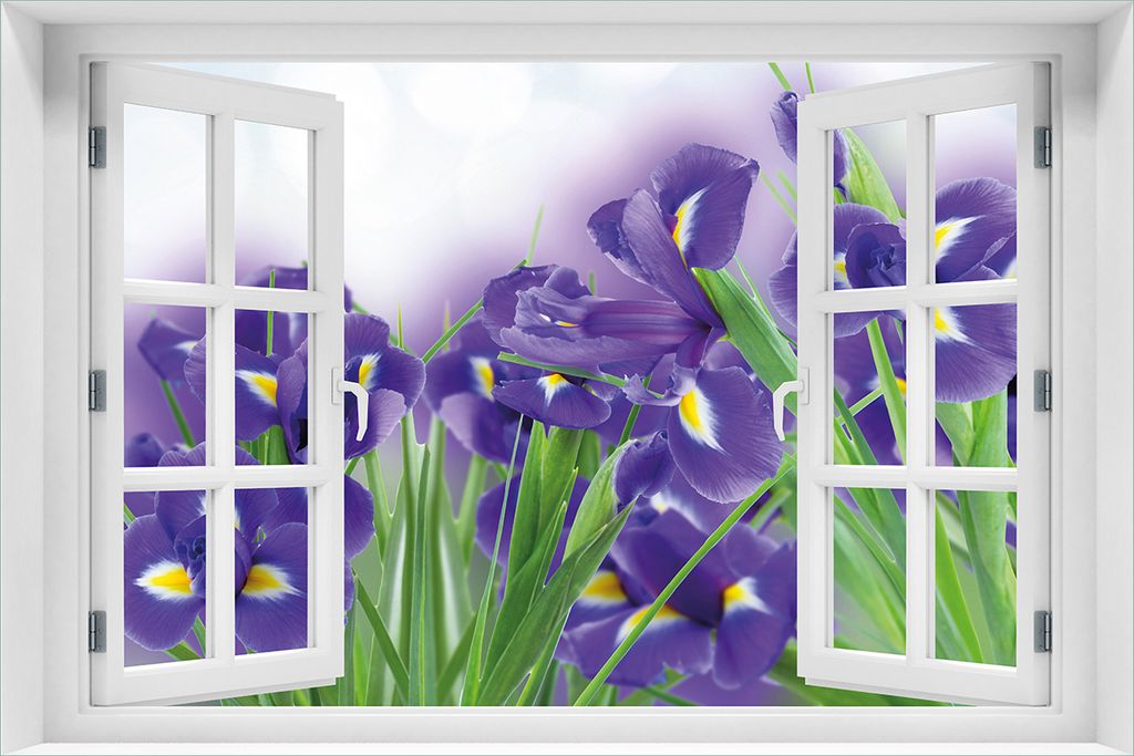 Wallario Poster mit Fenster-Illusion: Abstrakte blaue Schwertlilien in Nahaufnahme, Größe: 61 x 91,5 cm (Maxiposter)