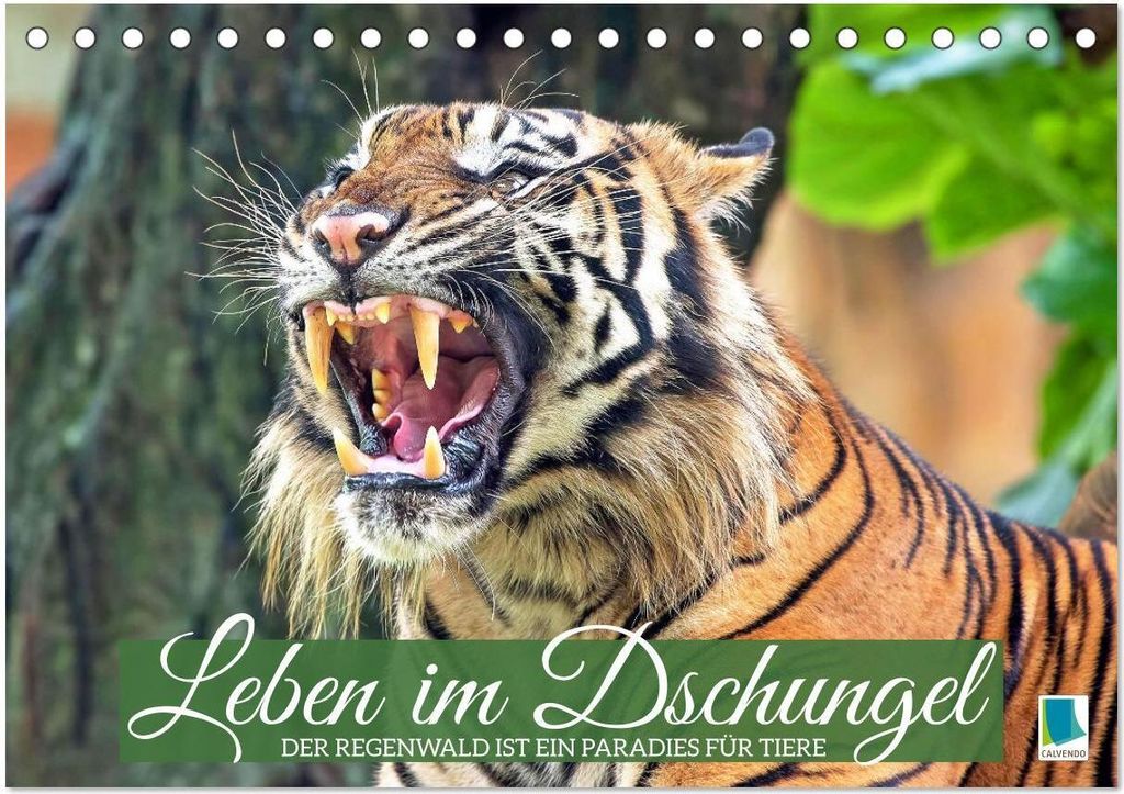 Leben im Dschungel: Der Regenwald ist ein Paradies für Tiere (Tischkalender 2026 DIN A5 quer), CALVENDO Monatskalender