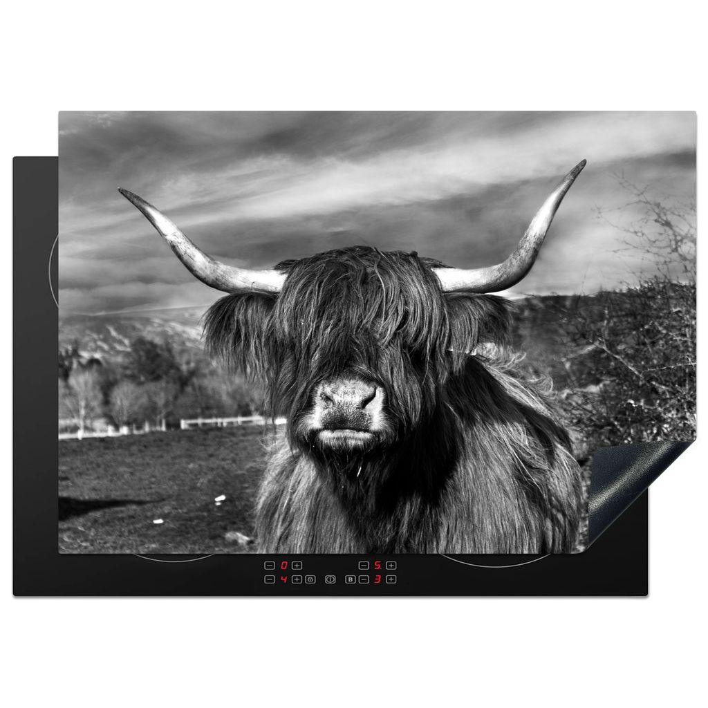 KitchenYeah Herdabdeckplatte Schottischer Hochländer - Porträt - Schwarz - Weiß - Tier - Wildnis - Natur , 75x52cm, Küche Deko, Glaskeramikko...