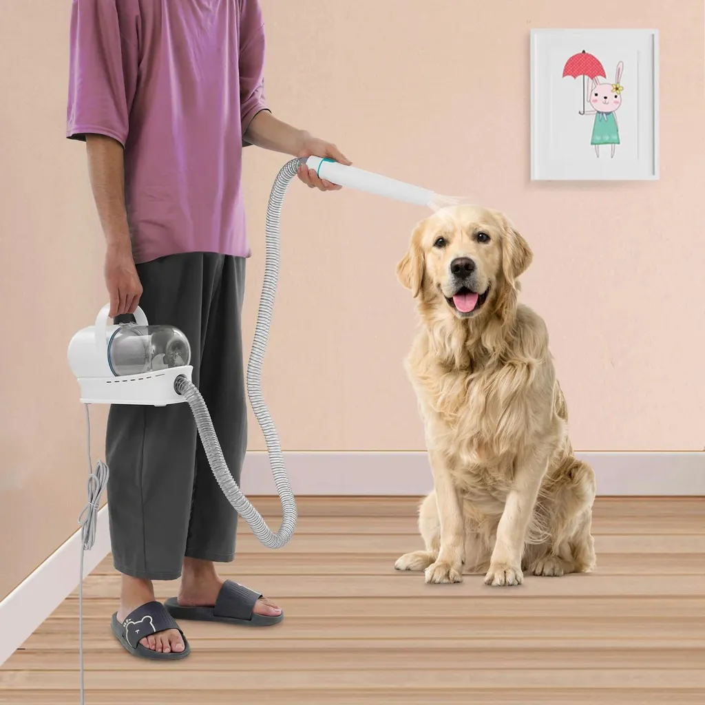 Appareil de séchage pour chat et brosse de soin électrique ergonomique