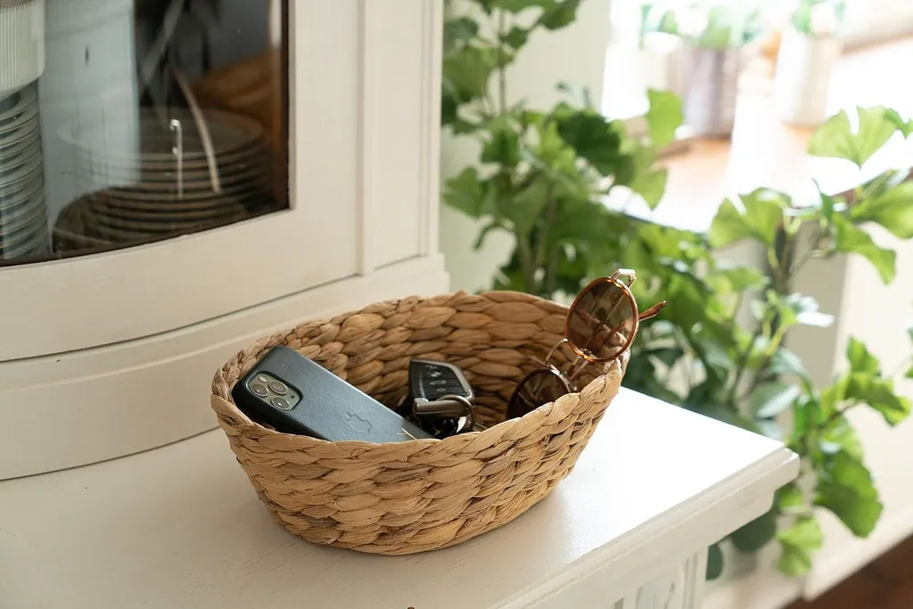 Rangement naturel anti-désordre - Set 3 coupes jacinthe d'eau durable