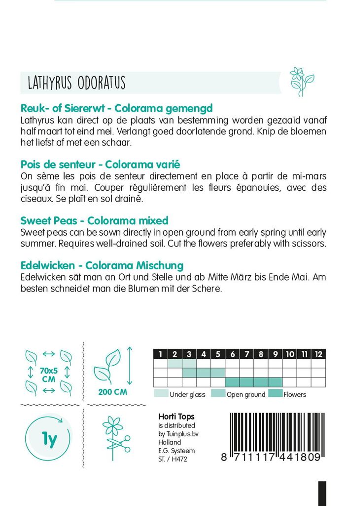 Edelwicken Colorama Mischung | Blumensamen von Hortitops