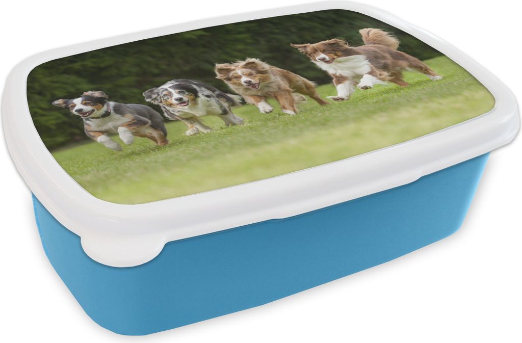 KitchenYeah Lunchbox Brotzeit Brotdose 17x11 cm 4 Hunde laufen in einer Reihe Kinder Brotzeitdose - Lunch - Kunststoff - Brotbüchse - Sandwichb...