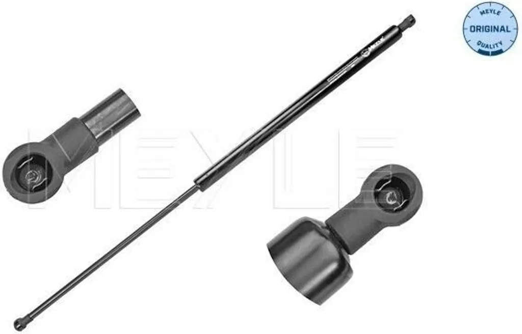 Amortisseur de hayon bloqué ou fatigué ? Solution MEYLE pour Kangoo
