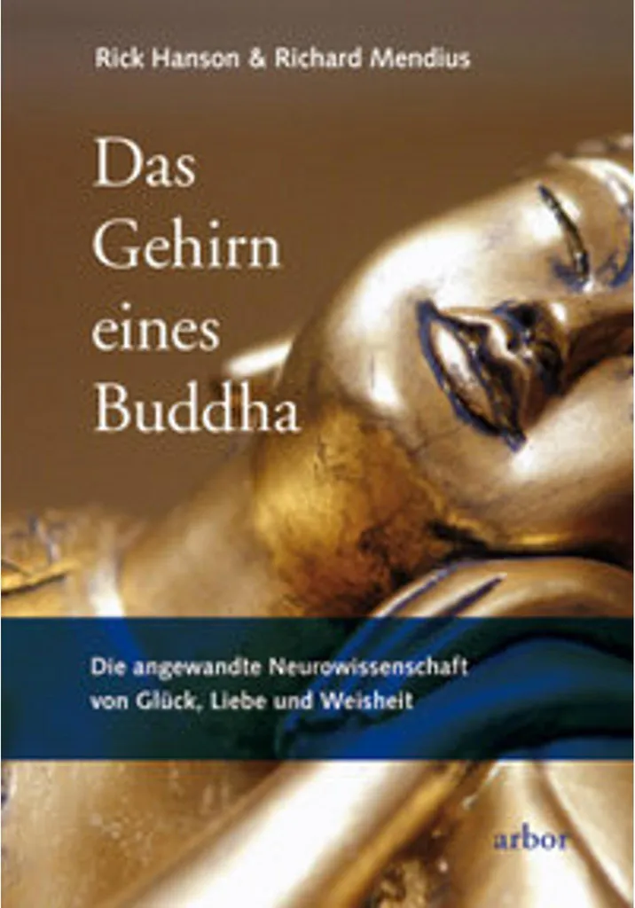 Neuroplasticité et bonheur avec Le Cerveau de Bouddha Rick Hanson 15cm