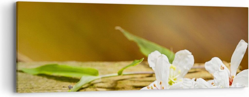 Bild auf Leinwand - Leinwandbild - Asien spa bambus blume - 90x30cm - Wand Bild - Wanddeko - Leinwanddruck - Bilder - Kunstdruck - Wanddekoration -...