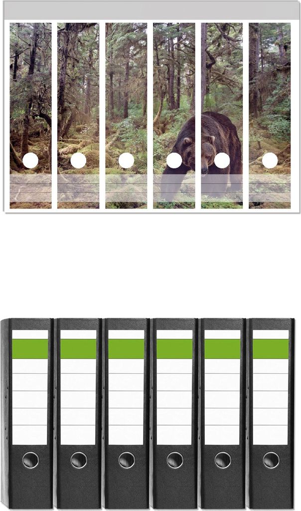 Wallario 6 Stück breite Ordner inkl. Klebeetiketten mit Motive Gefährlicher Grizzlybär im Wald - Set mit Rückenschildern / Ordnerrücken Stickern