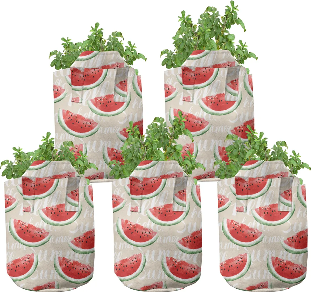 Pots de culture anti-chignonnage en feutre pour petits fruits