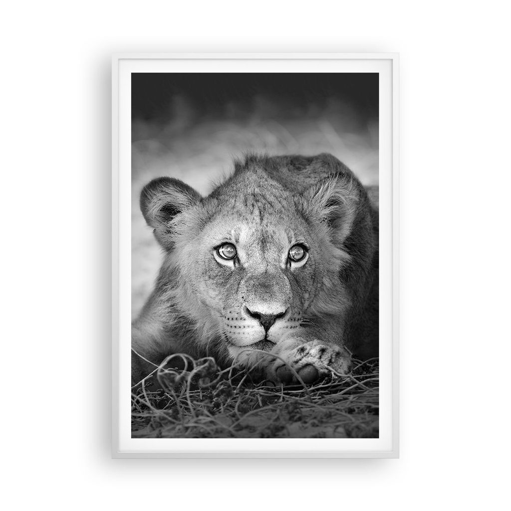 Gerahmtes Poster - Weißer Rahmen - Löwe asiatisch Porträt - 70x100 cm - Wand Bild - Wanddeko - Wandbilder - Kunstposter - Wandposter - Bilderrah...