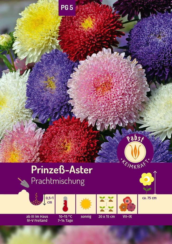 Artikelbild 1 von 'Prinzeß - Aster Prachtmischung' aus der Kategorie Asternsamen