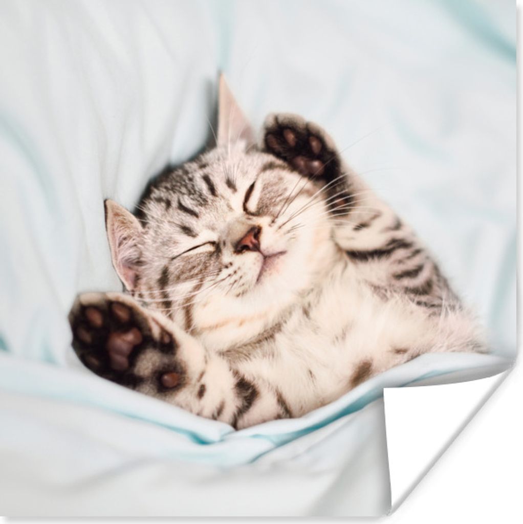 MuchoWow Poster Kätzchen - Bett - Pfoten - Mädchen - Kinder - Kinder - Kind 100x100 cm - Babyzimmer