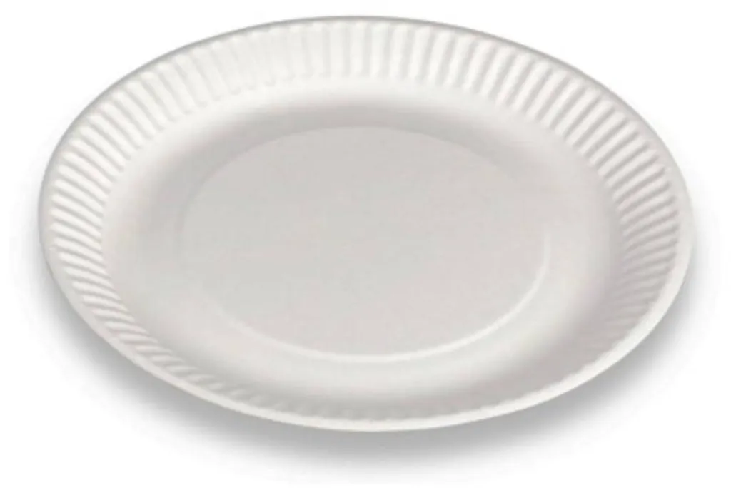 Assiettes en Carton Jetables Blanches de 23cm pour Traiteur et Fêtes