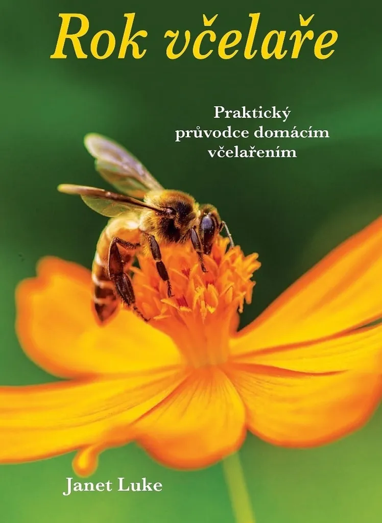Apprendre l'apiculture avec Rok včelaře : gérer sa ruche toute l'année