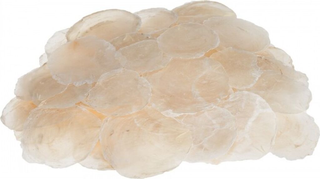 Camar-Perlmuttscheiben in Natur, Packung mit 0,25kg | Produktbild 