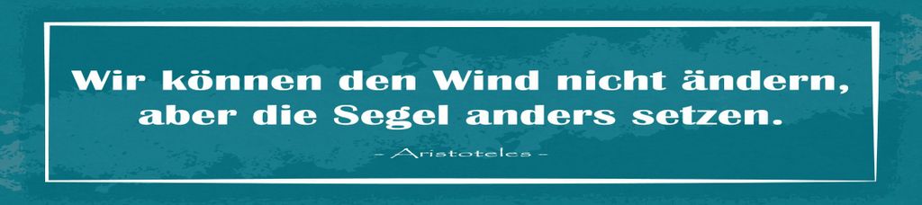 vianmo Blechschild 10x46 cm Zitat Wir können den Wind nicht ändern