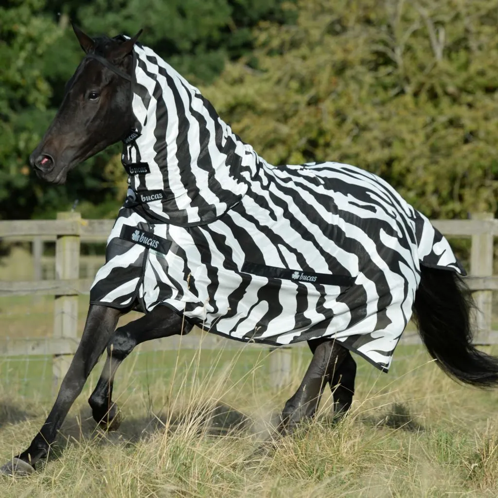 Benessere Cavallo: Coperta Bucas Buzz-Off Zebra 155 Full Neck - 5