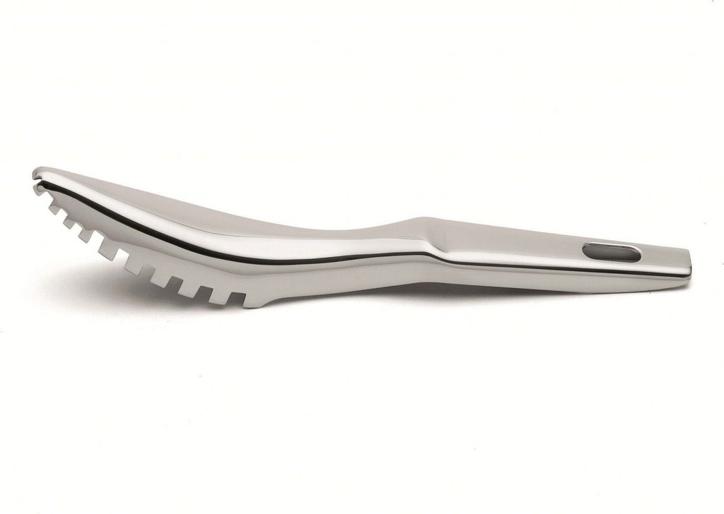 A stainless steel fish scaler on a white background.