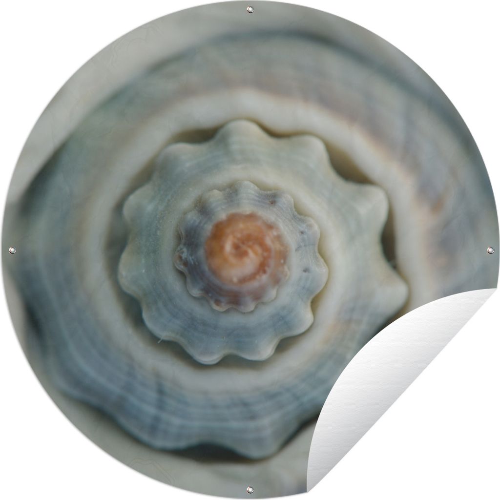 MuchoWow Gartenposter Outdoor-Poster Rund Muschel - Spirale - Meer Ø 60 cm Gartendeko Rundes Poster draußen