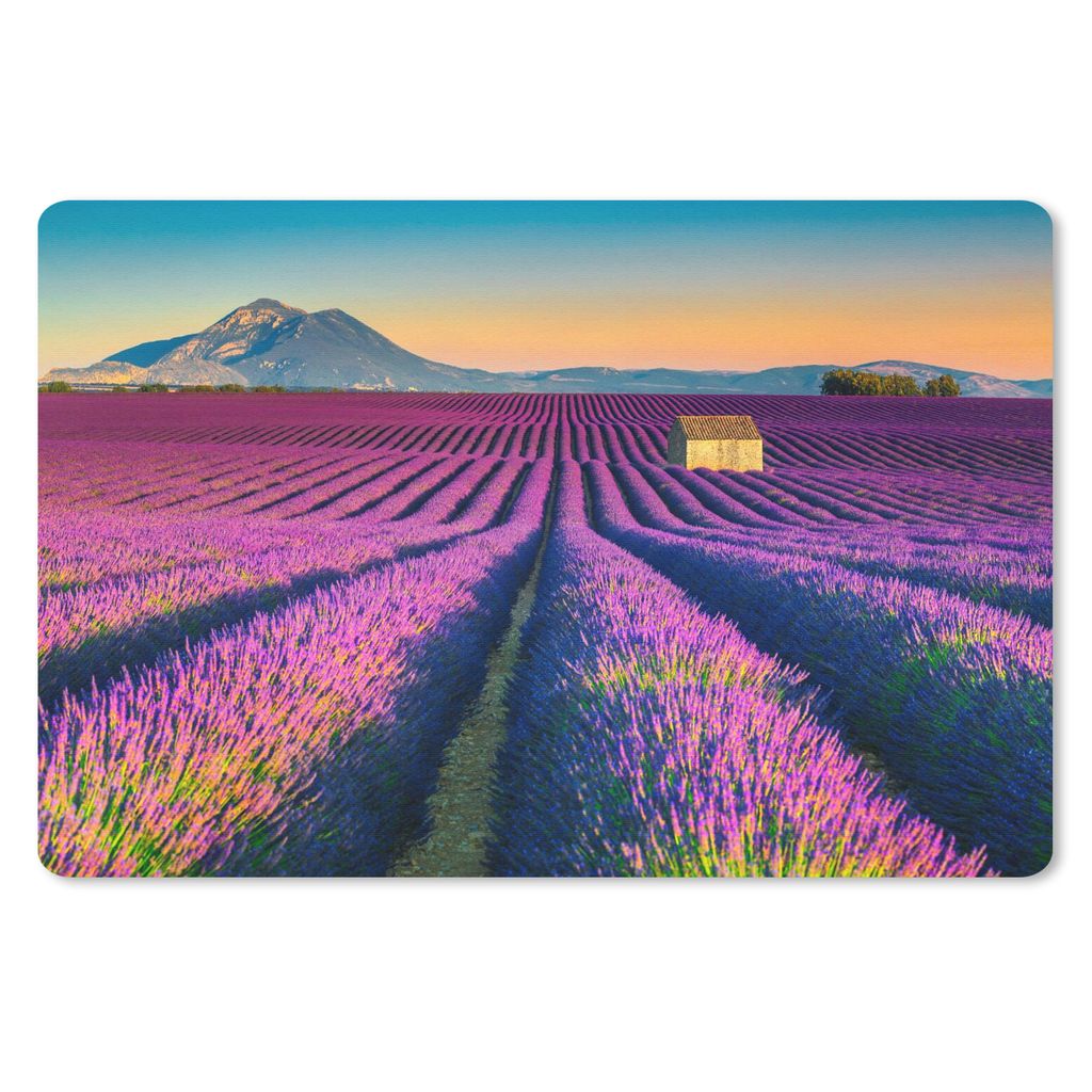 MuchoWow Schreibtischunterlage Lavendel - Berg - Blumen 60x40 cm - XXL Mauspad - Großes Mauspad